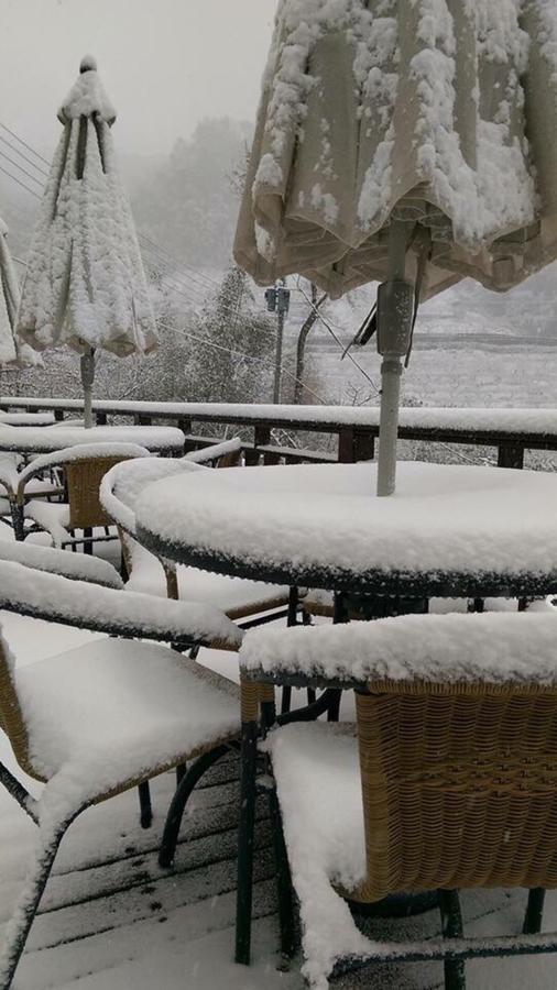 北橫之星 Ταογιουάν Εξωτερικό φωτογραφία